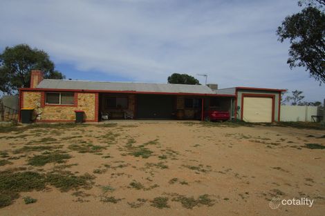 Property photo of 429 Morgan Road Cobdogla SA 5346