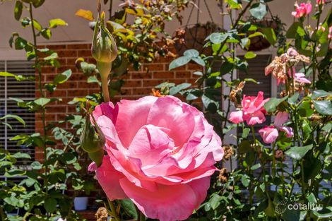 Property photo of 8/653 George Street South Windsor NSW 2756