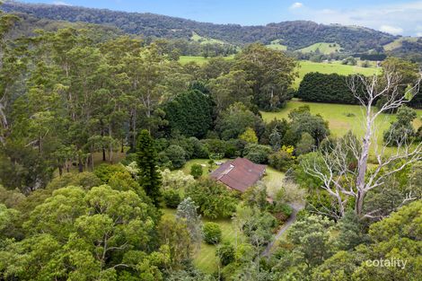 Property photo of 20 Tullouch Road Broughton Vale NSW 2535