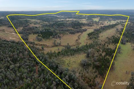 Property photo of 774 Monaghans Road Manildra NSW 2865