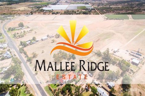 6 Terrain Ct, Irymple, VIC 3498