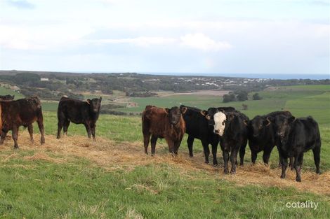 2469 Cobden-Port Campbell Rd, Port Campbell, VIC 3269