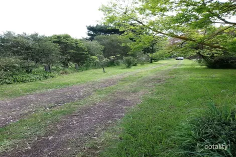 Property photo of 62 Brigade Avenue Campbells Creek VIC 3451