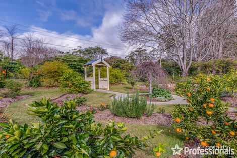 Property photo of 82 Sierra Drive Tamborine Mountain QLD 4272