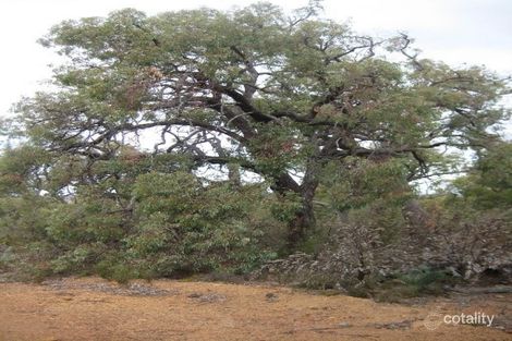 120 Ridley Cir, West Toodyay, WA 6566