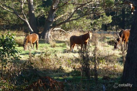 Property photo of 52 Grandview Drive South Spreyton TAS 7310