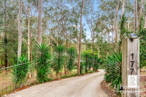 Property photo of 177 Church Road Eatons Hill QLD 4037