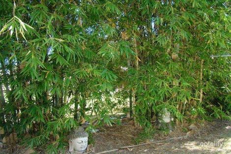 Property photo of 43 Park Avenue Emerald QLD 4720