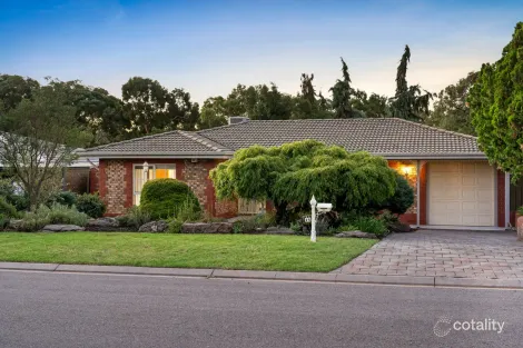 14 Zinfandel Ave, Wynn Vale, SA 5127