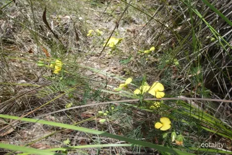 Property photo of 668 Matchbox Road Deepwater QLD 4674