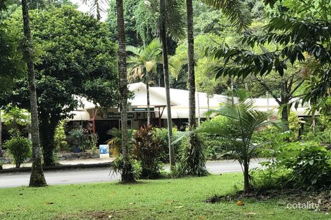 1480 Cape Tribulation Rd, Cow Bay, QLD 4873