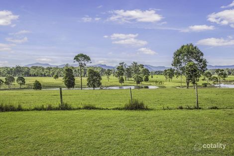 Property photo of 125 Shorts Road Cedar Party NSW 2429