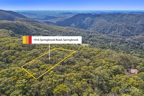 Property photo of 1916 Springbrook Road Springbrook QLD 4213
