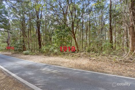 Property photo of 1916 Springbrook Road Springbrook QLD 4213