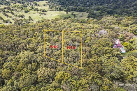 Property photo of 1916 Springbrook Road Springbrook QLD 4213