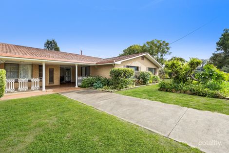 Property photo of 3 Aster Street Pittsworth QLD 4356