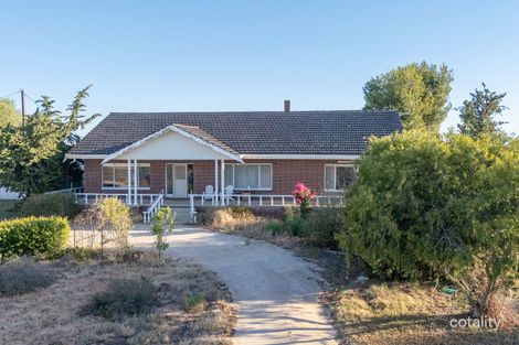 Property photo of 29 Murrayville Road Pinnaroo SA 5304