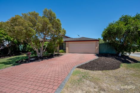 6 Regency Rmbl, Wattle Grove, WA 6107