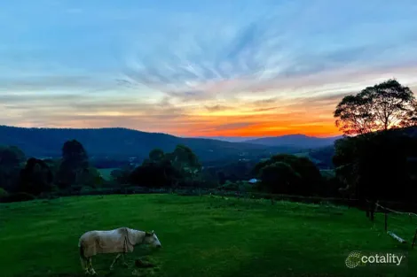 Property photo of 43 Rowe Lane Cedar Creek QLD 4207