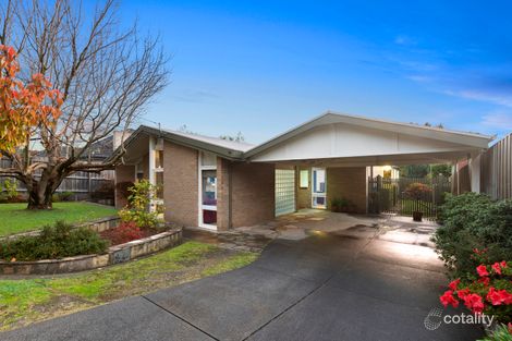 Property photo of 75 Hillview Avenue Mount Waverley VIC 3149
