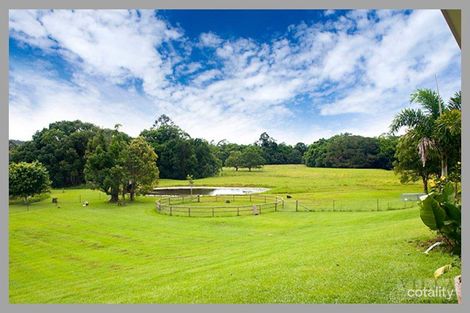 Property photo of 19 Finley Road Eumundi QLD 4562