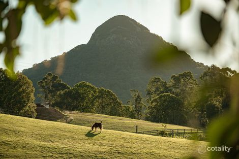 Property photo of 102 Solar Road Eumundi QLD 4562