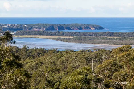 100 Woodlands Lane, Millingandi, NSW 2549