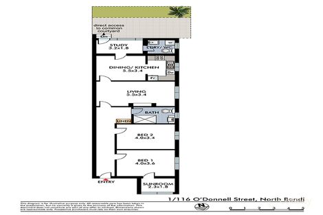 Property photo of 1/116 O'Donnell Street North Bondi NSW 2026