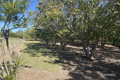 Property photo of 7 Lindeman Drive Bloomsbury QLD 4799