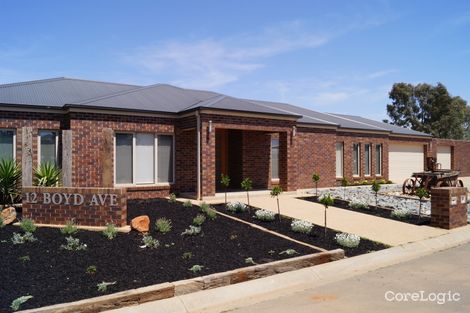 Property photo of 12 Boyd Avenue Shepparton VIC 3630
