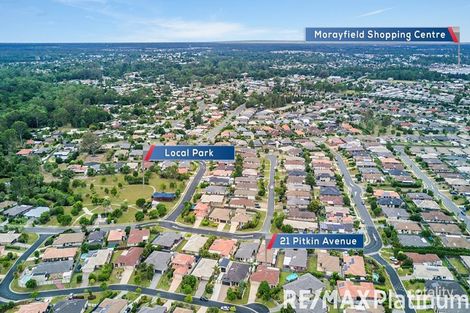 Property photo of 21 Pitkin Avenue Bellmere QLD 4510