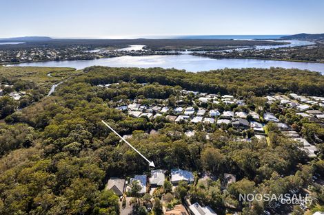 Property photo of 20 Alyxia Court Noosaville QLD 4566