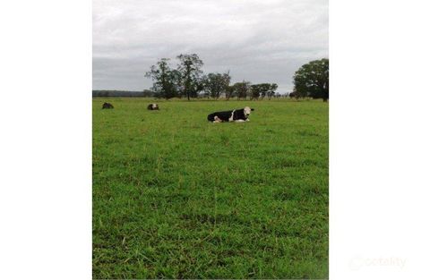 686 North Moto Rd, Moto, NSW 2426