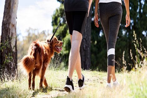 Property photo of 203 Light Street Wollert VIC 3750