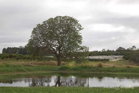 1165 Bulmers Rd, Hogarth Range, NSW 2469