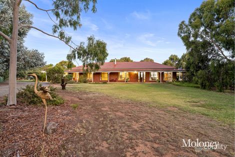 11 Greybox Ct, Rutherglen, VIC 3685