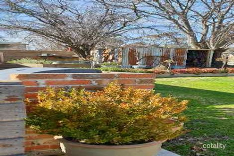 Property photo of 20 Mitta Street Omeo VIC 3898