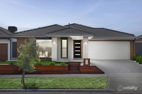 12 Jester Dr, Cobblebank, VIC 3338