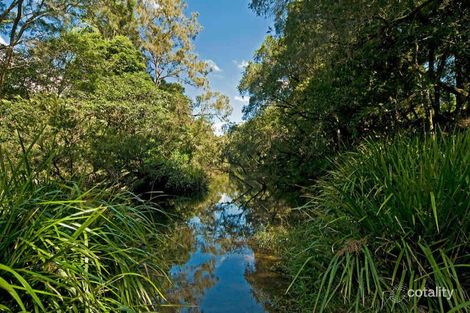 Property photo of 308 Birds Road Guanaba QLD 4210