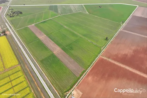 1390 Whitton Darlington Point Rd, Whitton, NSW 2705