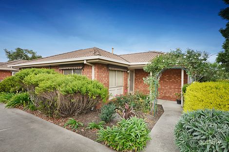 Property photo of 1/3 Vines Road Hamlyn Heights VIC 3215