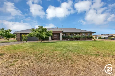 6 Alcheringa Dr, Forbes, NSW 2871
