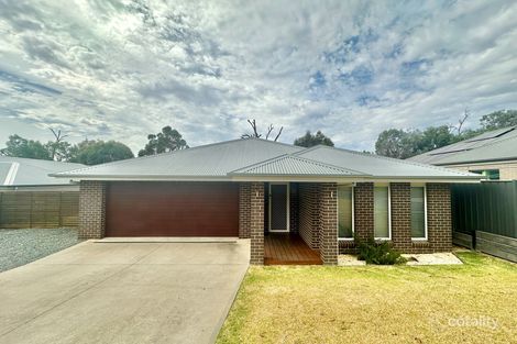 Property photo of 11 Redbox Drive Thurgoona NSW 2640