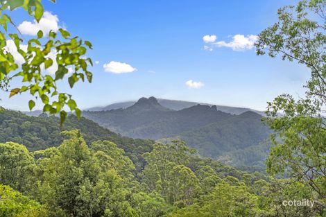 Property photo of 823 Tomewin Mountain Road Currumbin Valley QLD 4223