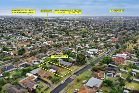 Property photo of 11 Bushfield Crescent Coolaroo VIC 3048