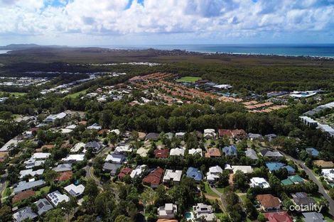 Property photo of 16 Glenoak Avenue Peregian Springs QLD 4573