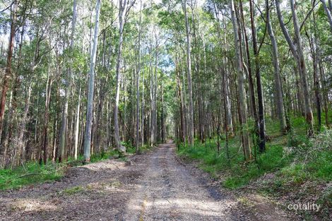 Property photo of 43B Battunga Drive Tomerong NSW 2540