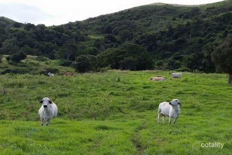 Property photo of 19 Koplick Road Running Creek QLD 4287