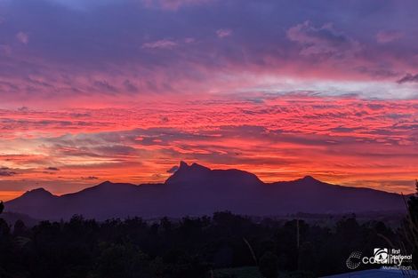 Property photo of 96 Starlight Way Pumpenbil NSW 2484