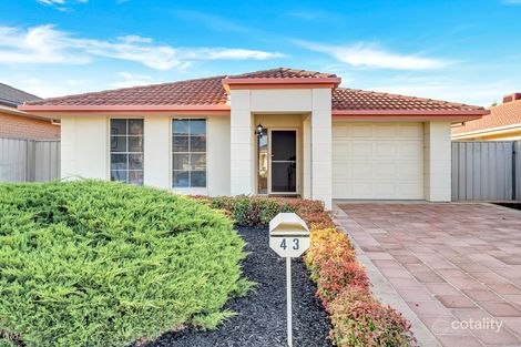 Property photo of 43 Sovereign Drive Woodcroft SA 5162